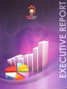 UEFA Euro 2008. Executive Report + DVD