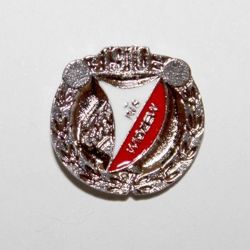 RTS Widzew Lodz silver emblem (official product)