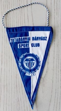 Tatabanyai Banyasz SC pennant