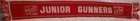  Arsenal FC Junior Gunners scarf (2)