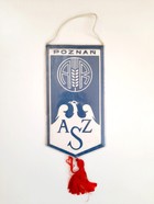 AZS Agricultural University of Poznań pennant