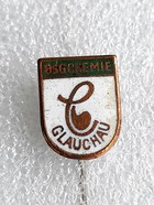 BSG Chemie Glauchau badge (East Germany, enamel)