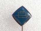 BSG Electronic Teltow badge (East Germany, epoxy)