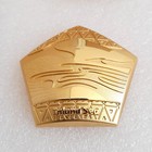 FIFA World Cup Qatar 2022. Heritage - Inland Sea Chaur al-Udajd (official product) badge