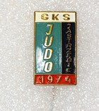 GKS Jastrzebie judo team badge (lacquer)