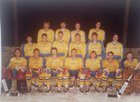 Ice hockey team EC Pfaffenhofen 1988-1989 (Germany) photo