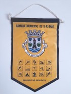 Sports Department of the City Council of Vila Nova de Gaia (Portugal) pennant