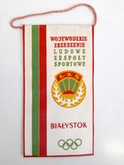 The Provincial Country Sports Club Association of Białystok pennant