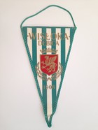 Wisloka Debica old pennant