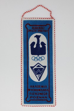 AZS AWF Poznan pennant (official product)
