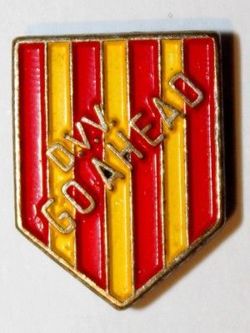 DVV Go Ahead Eagles Deventer badge (lacquer)