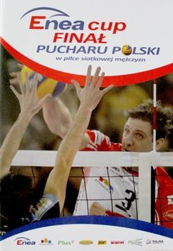 Polish Men's Volleyball Cup Final 2010 Guide