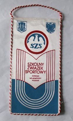 Sports School Associaton Poznan pennant