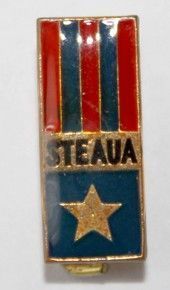 Steaua Bucharest rectangle badge (epoxy)