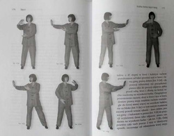 Tai chi without secrets