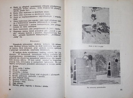 Athletics in the field (1949)