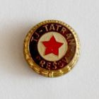 TJ Tatran Presov with garland (lacquer)