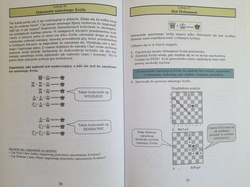 Three steps into the chess world. Principles and nuances of the royal game. Part 1
