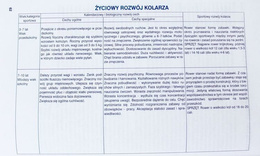 Cycling. Training - Technique - Tactic