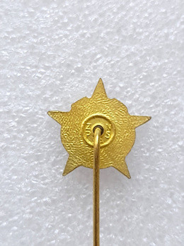 FK Sloboda Tuzla badge with ball (Bosnia & Herzegovina, lacquer, signature)