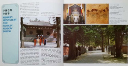 Wushu Chinese Martial Arts