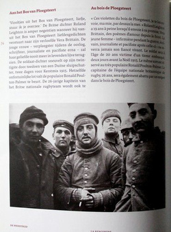 You not shoot, We not shoot