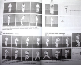 Best Karate (Volume 9). Bassai Sho, Kanku Sho, Chinte