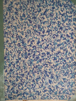 Sportowiec Illustrated Magaizne - Year 1952 (49 issues)