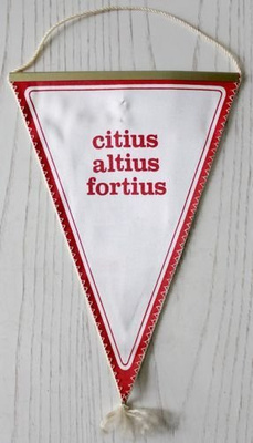 Zalgiris Kaunas pennant