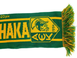Dnipro-1 - AEK Larnaca, UEFA Europa Conference League match (23.2.2023) scarf