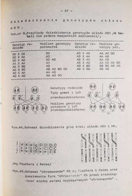 Lectures of anthropology. A script for students of physical education universities