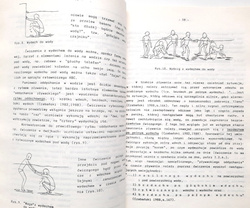 Methodological tips for teaching swimming (Sports Academy of Cracow)