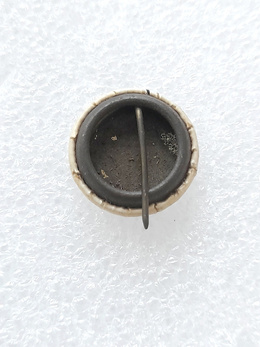 Campos Atletico Associacao Goytacaz button old badge (Brazil)