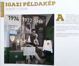 Ferencvaros TC Annual 2016 + DVD film