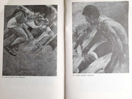 Catalog of the Collections of the Museum of Sport and Tourism. Art collections Volume 2: Painting