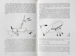 The Physics of sport