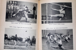 Physical education universities in Poland