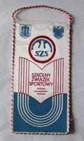 Sports School Associaton Poznan pennant