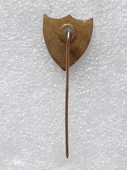 EC Noroeste Bauru crest big badge (Brazil, enamel)