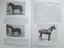 Horse breeding and equestrian sport in Galicia under Austrian rule and in Małopolska in the interwar period