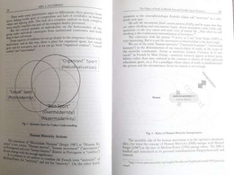 Martial Arts and Combat Sports - Humanistic Outlook