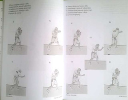 Propaedeutics of boxing