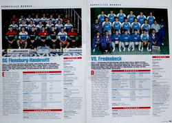 Bundesliga handball Fans Guide 1993-1994 (Handball magazin)