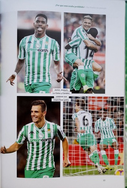 Triumphs to remember. Real Betis Balompie season 2018/19
