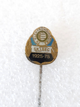 FK Elektrovojvodina Subotica 50th Anniversary badge (Serbia, lacquer)