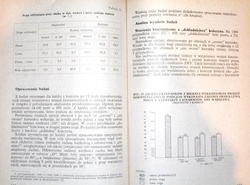 Symmetry and assymetry of movement in sport