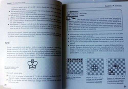 Chess for newbies - everything you should know about ...