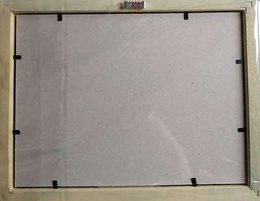 Ligue 1 Uber Eats 2020-2021 20 pins-collection (official product) 