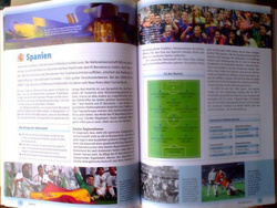 UEFA Euro 2008 Official Guide