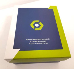 French Ligue 1 Championship trophy 3D big replica, 19,5 cm (LFP official product) 